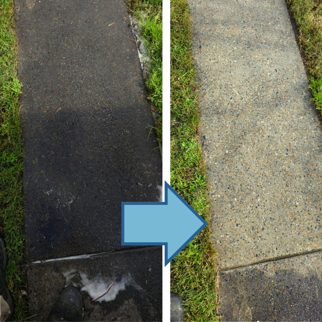 Professional driveway cleaning before and after